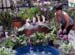 22 Gloria-with-nativity-scene