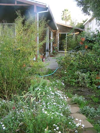 sidedeck-garden
