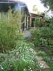 sidedeck-garden